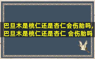 巴旦木是桃仁还是杏仁会伤胎吗,巴旦木是桃仁还是杏仁 会伤胎吗